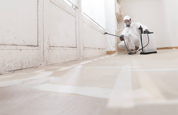 24/7 Emergency Mold Remediation experts in Hoffman Estates, IL