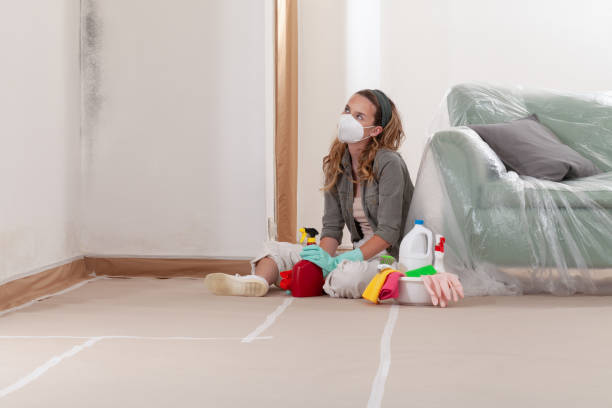 Reliable Mold Remediation contractor in Hoffman Estates, IL by Cheap Mold Removal